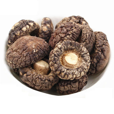 濃いキノコの香りのある茶色の脱水した平らなシイタケキノコ