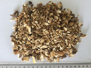 水分を取り除かれるサイズ椎茸は自然な好みの微粒10x10mmの急速に広まります